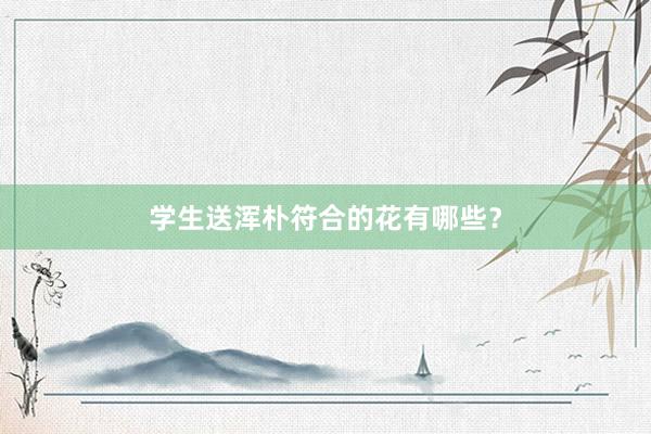 学生送浑朴符合的花有哪些？