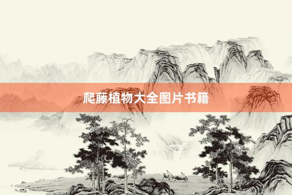 爬藤植物大全图片书籍