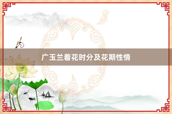 广玉兰着花时分及花期性情