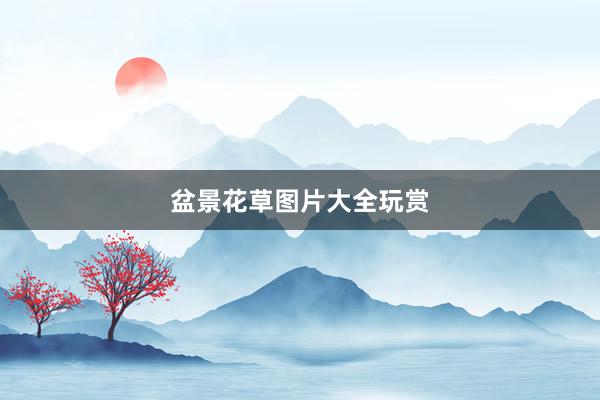 盆景花草图片大全玩赏