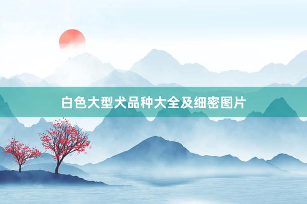 白色大型犬品种大全及细密图片